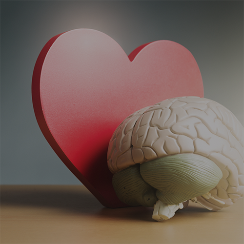 Emotional Intelligence Coach