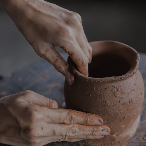 Transformation Coach